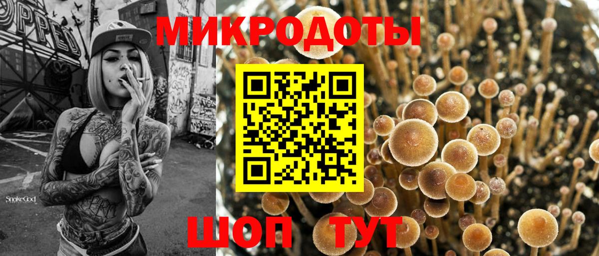 Псилоцибиновые грибы мицелий Северск