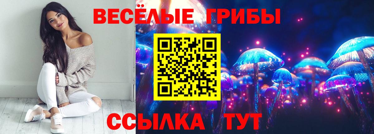 Галлюциногенные грибы мицелий  Вход с VPN  Северск 